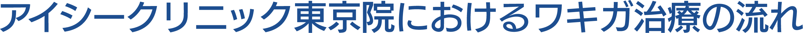 アイシークリニック東京院におけるワキガ手術の流れ